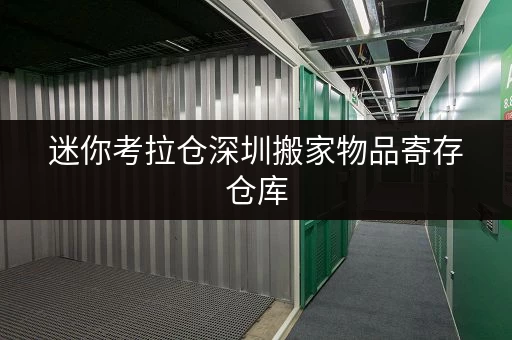 迷你考拉仓深圳搬家物品寄存仓库,搬家过渡期更省心存储方案 迷你考拉仓深圳搬家物品寄存仓库,搬家过渡期更省心存储方案