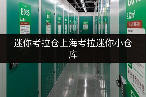 迷你考拉仓上海考拉迷你小仓库，随存随取，便捷生活新选择