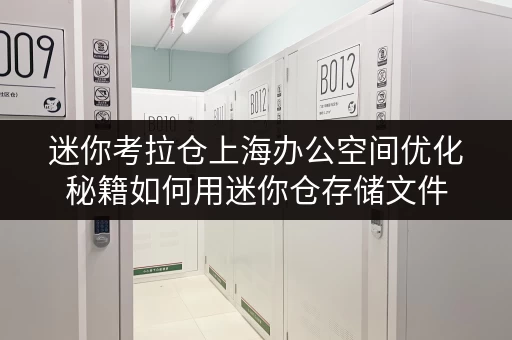 迷你考拉仓上海办公空间优化秘籍如何用迷你仓存储文件，释放办公空间