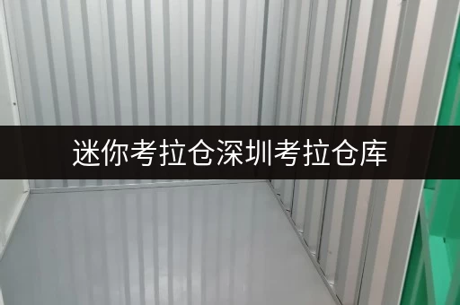 迷你考拉仓深圳考拉仓库,安全与温湿监控双重保障,价格透明解析 迷你考拉仓深圳考拉仓库,安全与温湿监控双重保障,价格透明解析
