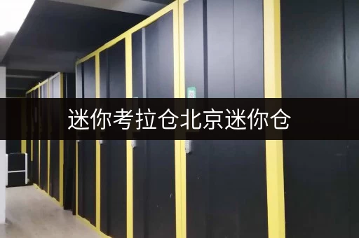 迷你考拉仓北京迷你仓,安全与温湿监控,您的私人仓储管家 迷你考拉仓北京迷你仓,安全与温湿监控,您的私人仓储管家