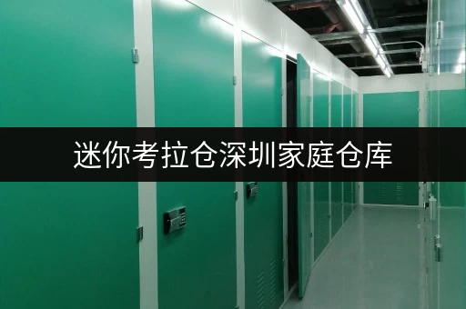 迷你考拉仓深圳家庭仓库,随存随取,打造您的私人空间 迷你考拉仓深圳家庭仓库,随存随取,打造您的私人空间