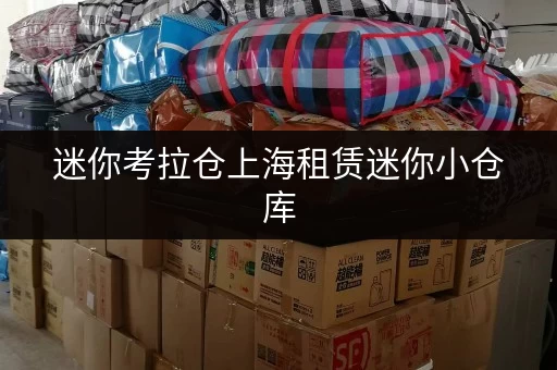 迷你考拉仓上海租赁迷你小仓库,透明价格让你无忧存储 迷你考拉仓上海租赁迷你小仓库,透明价格让你无忧存储