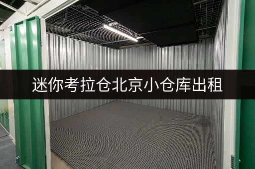 迷你考拉仓北京小仓库出租,随存随取更便捷——迷你考拉仓,你的空间管家 迷你考拉仓北京小仓库出租,随存随取更便捷——迷你考拉仓,你的空间管家