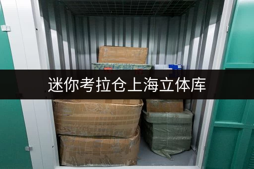 迷你考拉仓上海立体库，存储新体验，随时随地，尽在掌握