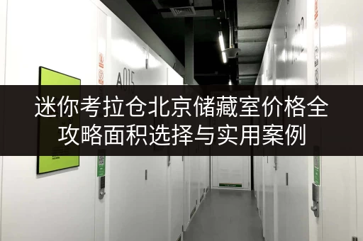 迷你考拉仓北京储藏室价格全攻略面积选择与实用案例