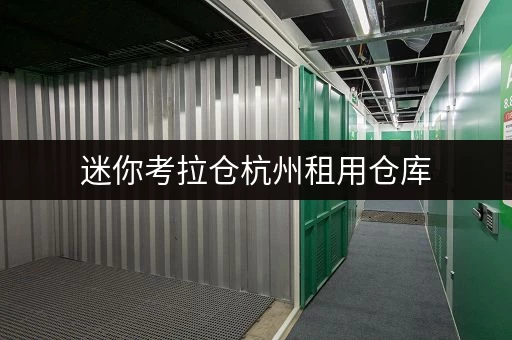 迷你考拉仓杭州租用仓库，安全与温湿监控，守护你的每一件宝贝