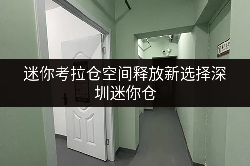 迷你考拉仓空间释放新选择深圳迷你仓，费用全攻略