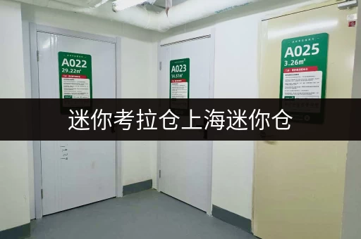 迷你考拉仓上海迷你仓，货物存放更省心存储方案