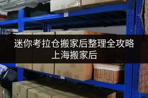 迷你考拉仓搬家后整理全攻略上海搬家后,如何轻松收纳整理? 迷你考拉仓搬家后整理全攻略上海搬家后,如何轻松收纳整理?