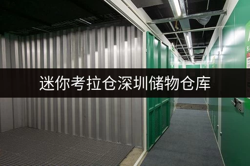 迷你考拉仓深圳储物仓库,随存随取,让生活更便捷 迷你考拉仓深圳储物仓库,随存随取,让生活更便捷