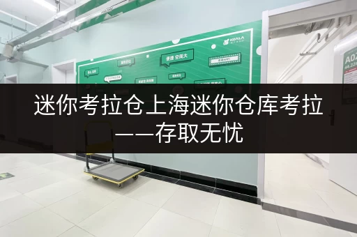 迷你考拉仓上海迷你仓库考拉——存取无忧，全天候服务，你的私人空间守护者