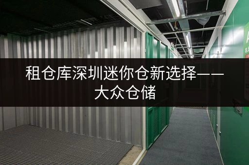 租仓库深圳迷你仓新选择——大众仓储，存取无忧，全天候服务