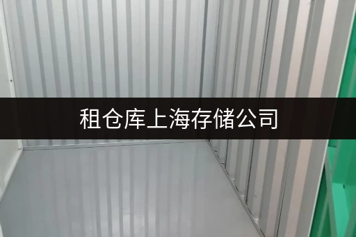 租仓库上海存储公司,办公空间释放新选择 租仓库上海存储公司,办公空间释放新选择