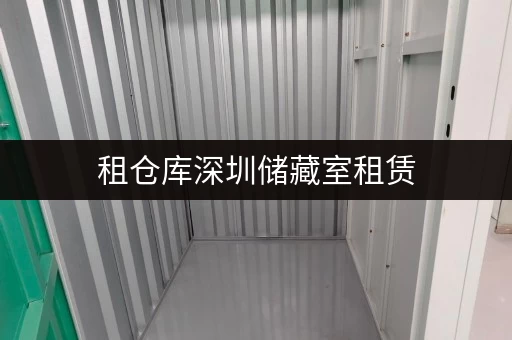 租仓库深圳储藏室租赁，打造家庭空间新境界