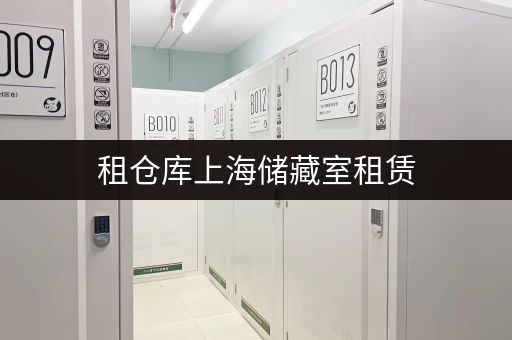 租仓库上海储藏室租赁,揭秘省钱攻略 租仓库上海储藏室租赁,揭秘省钱攻略