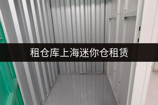 租仓库上海迷你仓租赁，随存随取，价格透明全攻略