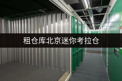 租仓库北京迷你考拉仓,释放空间,提升生活品质的储物新选择 租仓库北京迷你考拉仓,释放空间,提升生活品质的储物新选择