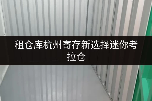 租仓库杭州寄存新选择迷你考拉仓,家庭空间释放专家 租仓库杭州寄存新选择迷你考拉仓,家庭空间释放专家
