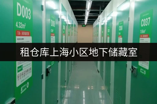 租仓库上海小区地下储藏室，存取无忧，全时段服务，你的私人空间守护者