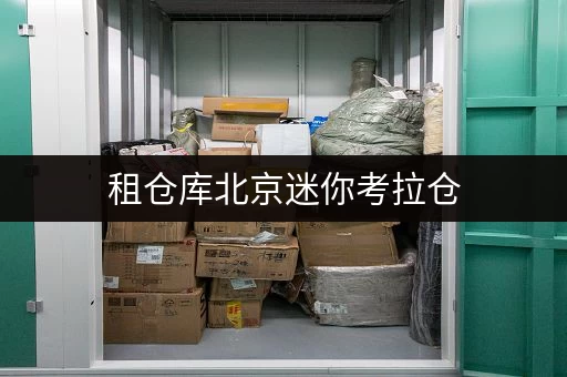 租仓库北京迷你考拉仓,随存随取,轻松解决工具存放难题 租仓库北京迷你考拉仓,随存随取,轻松解决工具存放难题