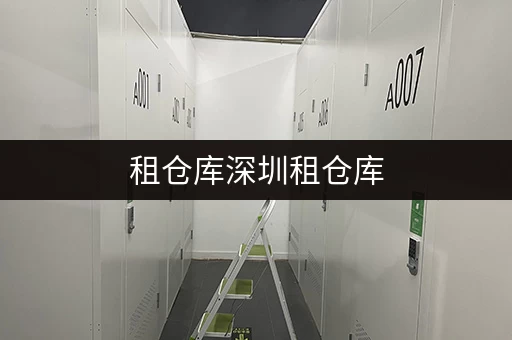 租仓库深圳租仓库,安全与温湿监控双重保障,迷你考拉仓为您解忧! 租仓库深圳租仓库,安全与温湿监控双重保障,迷你考拉仓为您解忧!