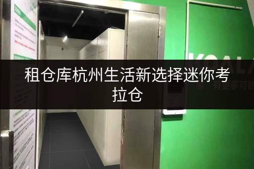 租仓库杭州生活新选择迷你考拉仓，解锁家庭空间释放与品质提升新篇章
