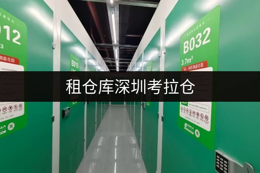 租仓库深圳考拉仓,安全与温湿监控,为您打造无忧存储体验 租仓库深圳考拉仓,安全与温湿监控,为您打造无忧存储体验