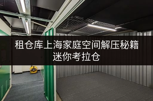 租仓库上海家庭空间解压秘籍迷你考拉仓，安全温湿监控，让您的物品安“新家”