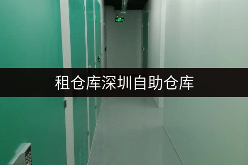租仓库深圳自助仓库,为您的物品安全保驾护航 租仓库深圳自助仓库,为您的物品安全保驾护航