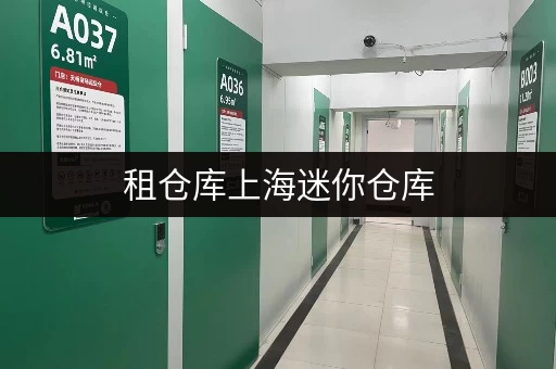 租仓库上海迷你仓库,轻松解决设备存放难题 租仓库上海迷你仓库,轻松解决设备存放难题