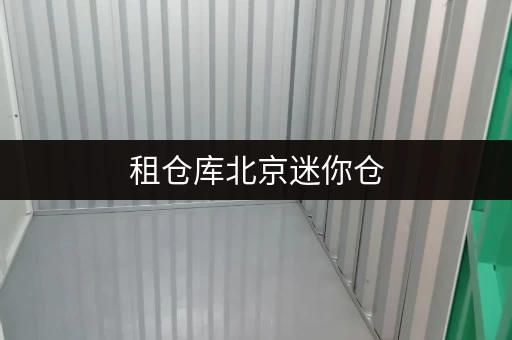 租仓库北京迷你仓,安全无忧的仓储出租服务 租仓库北京迷你仓,安全无忧的仓储出租服务