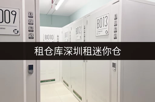 租仓库深圳租迷你仓,轻松解决货物存放烦恼 租仓库深圳租迷你仓,轻松解决货物存放烦恼