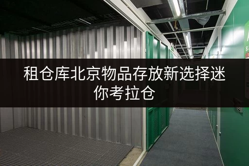 租仓库北京物品存放新选择迷你考拉仓,随存随取更便捷 租仓库北京物品存放新选择迷你考拉仓,随存随取更便捷
