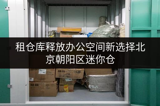 租仓库释放办公空间新选择北京朝阳区迷你仓，您的办公用品存放专家