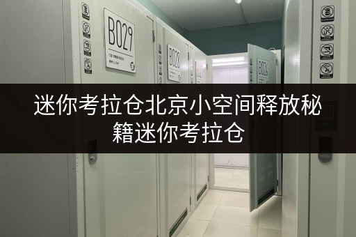 迷你考拉仓北京小空间释放秘籍迷你考拉仓，品质生活新选择