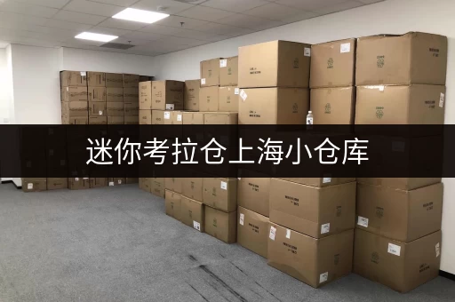 迷你考拉仓上海小仓库,随存随取,告别物品杂乱无章 迷你考拉仓上海小仓库,随存随取,告别物品杂乱无章
