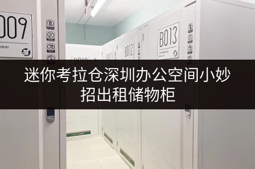 迷你考拉仓深圳办公空间小妙招出租储物柜，轻松释放办公空间