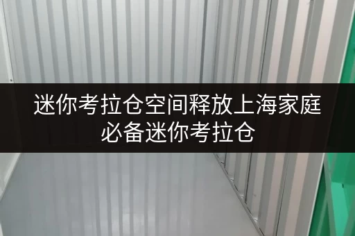 迷你考拉仓空间释放上海家庭必备迷你考拉仓，释放家，提升生活品质