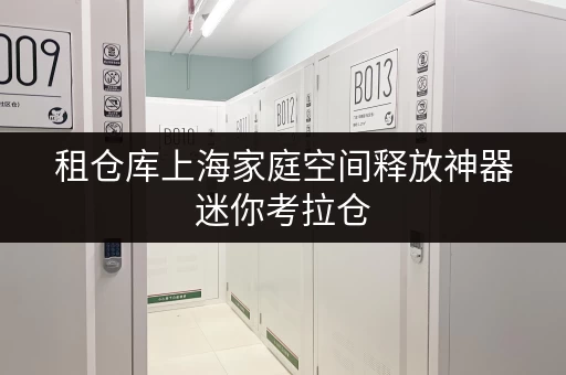 租仓库上海家庭空间释放神器迷你考拉仓，仓储货物存取无忧