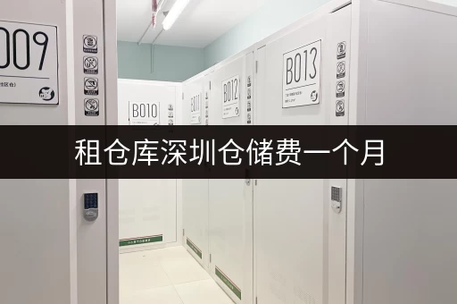 租仓库深圳仓储费一个月,如何轻松掌控费用与便利? 租仓库深圳仓储费一个月,如何轻松掌控费用与便利?
