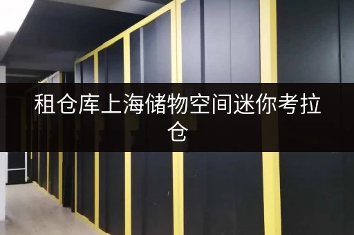 租仓库上海储物空间迷你考拉仓,安全与温湿监控,让您的物品安心“安家” 租仓库上海储物空间迷你考拉仓,安全与温湿监控,让您的物品安心“安家”