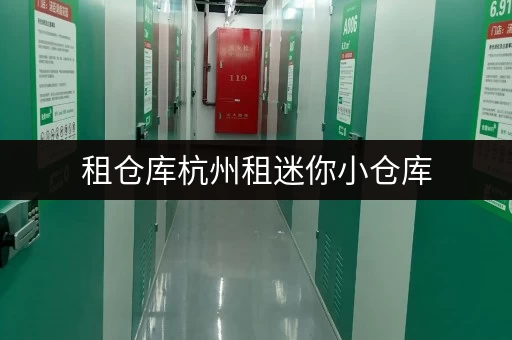 租仓库杭州租迷你小仓库,货物存放更省心存储方案 租仓库杭州租迷你小仓库,货物存放更省心存储方案