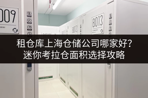 租仓库上海仓储公司哪家好?迷你考拉仓面积选择攻略,打造你的私人空间 租仓库上海仓储公司哪家好?迷你考拉仓面积选择攻略,打造你的私人空间
