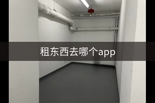 租东西去哪个app，租东西在哪租