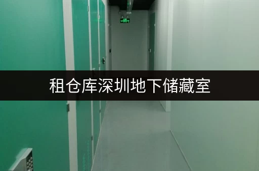 租仓库深圳地下储藏室，释放办公空间新境界