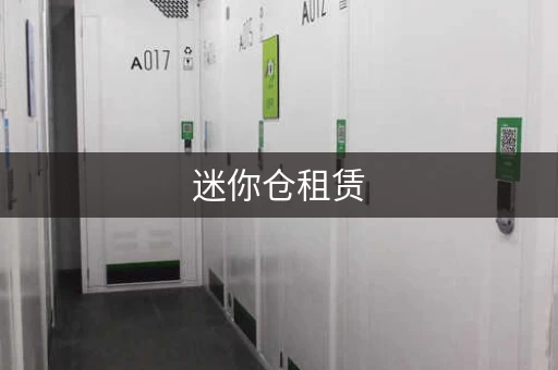 迷你仓租赁，迷你仓小仓库出租