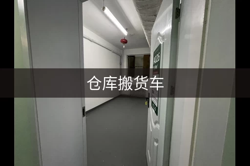 仓库搬货车，仓库搬货视频真实