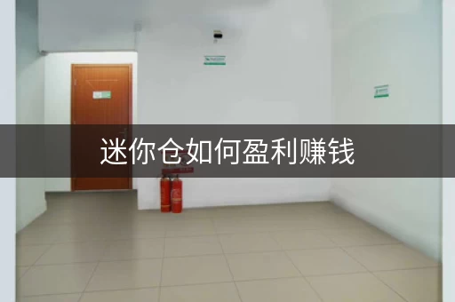 迷你仓如何盈利赚钱，迷你仓发展前景