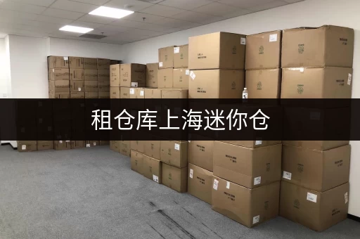租仓库上海迷你仓,月租全攻略存取便捷,全天候守护你的物品 租仓库上海迷你仓,月租全攻略存取便捷,全天候守护你的物品